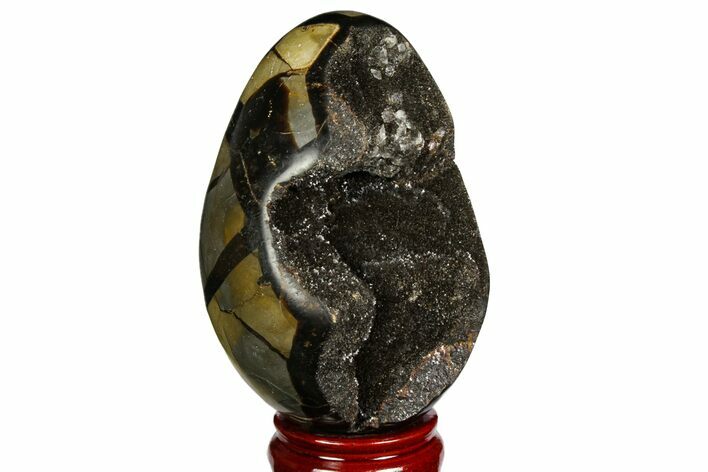 Septarian Dragon Egg Geode - Barite Crystals #143166